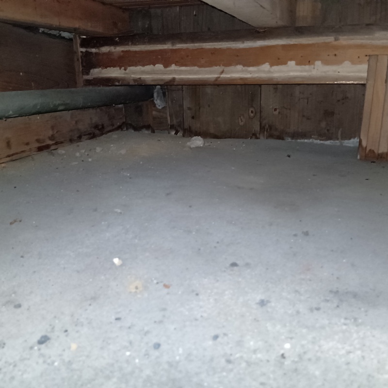 築年数53年のシロアリ駆除の施工事例（大阪府大阪市東成区大今里南）