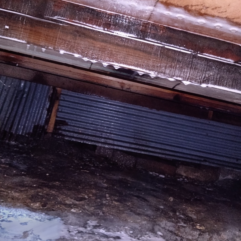 床下の木材にシロアリ駆除剤を散布した様子