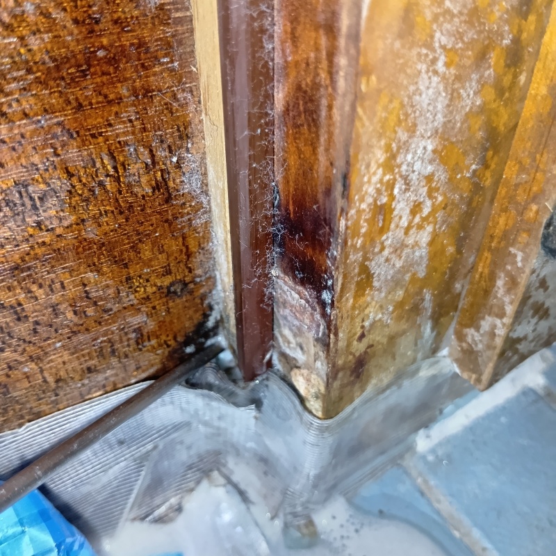 劣化した木材にシロアリ駆除剤を注入