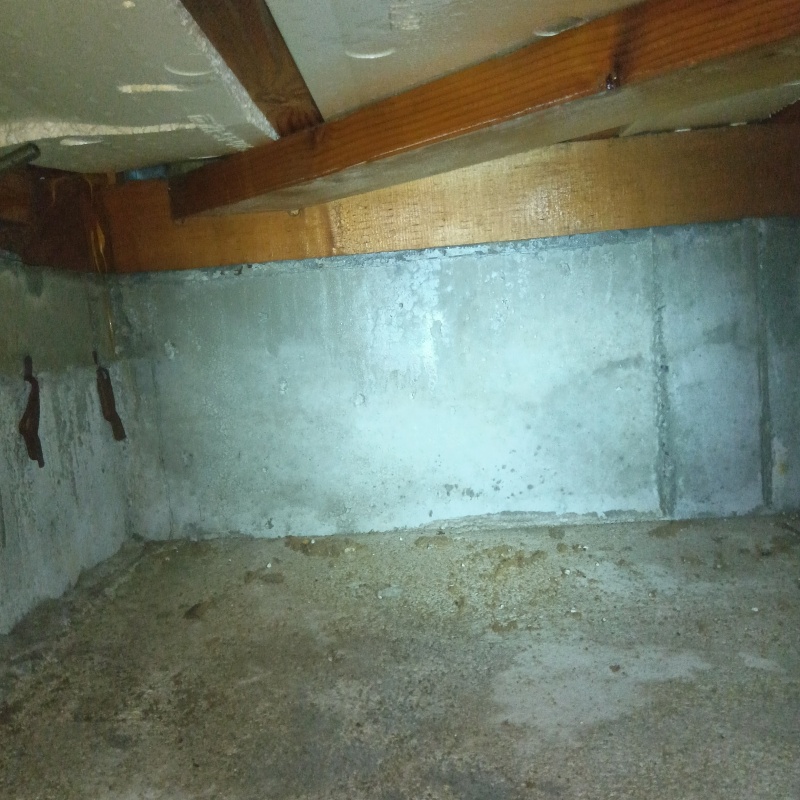 防蟻剤を散布する前の様子