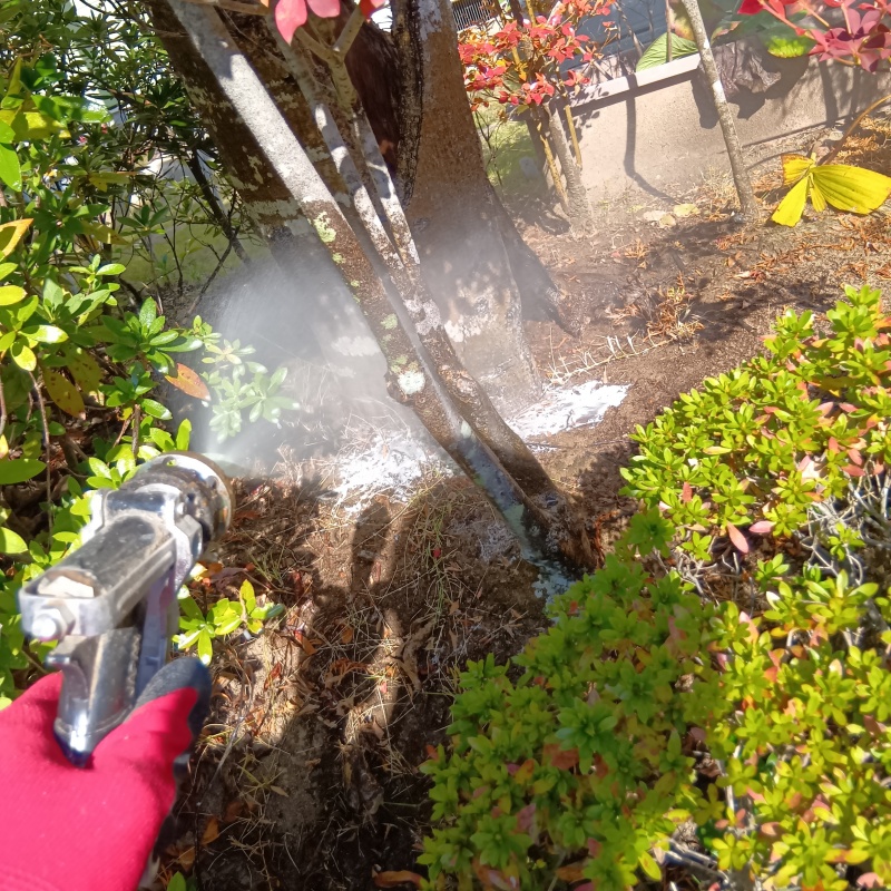 植木・建物外周にシロアリ駆除剤を散布