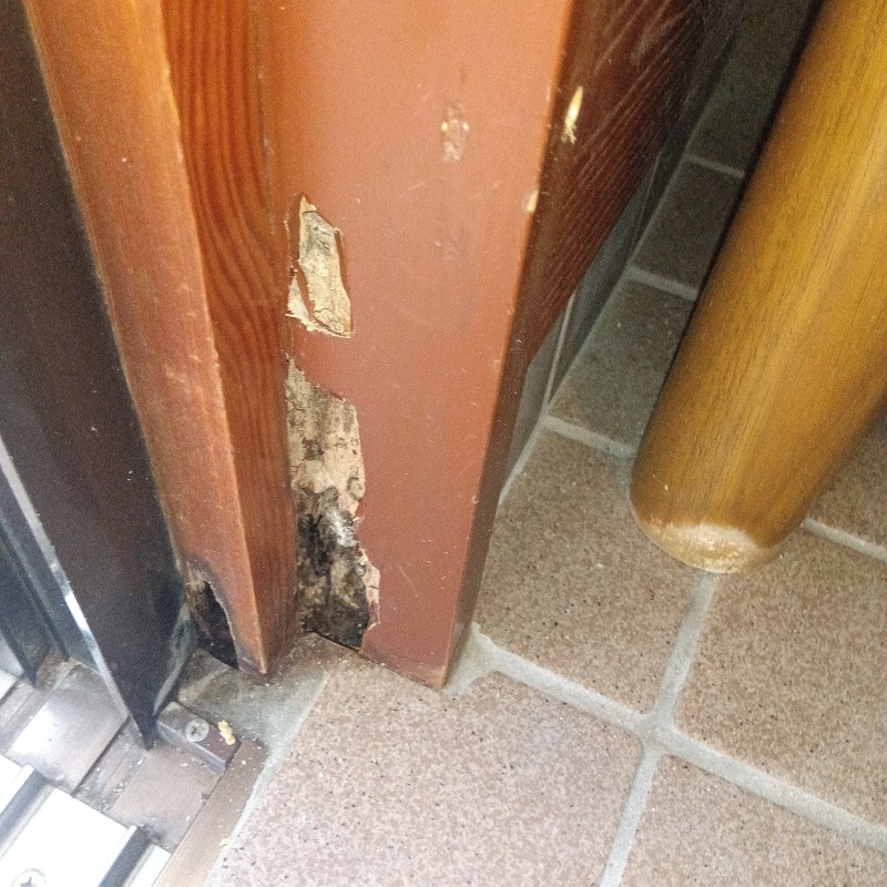 築年数32年のシロアリ駆除の施工事例（宮城県登米市中田町石森字霜降舘）