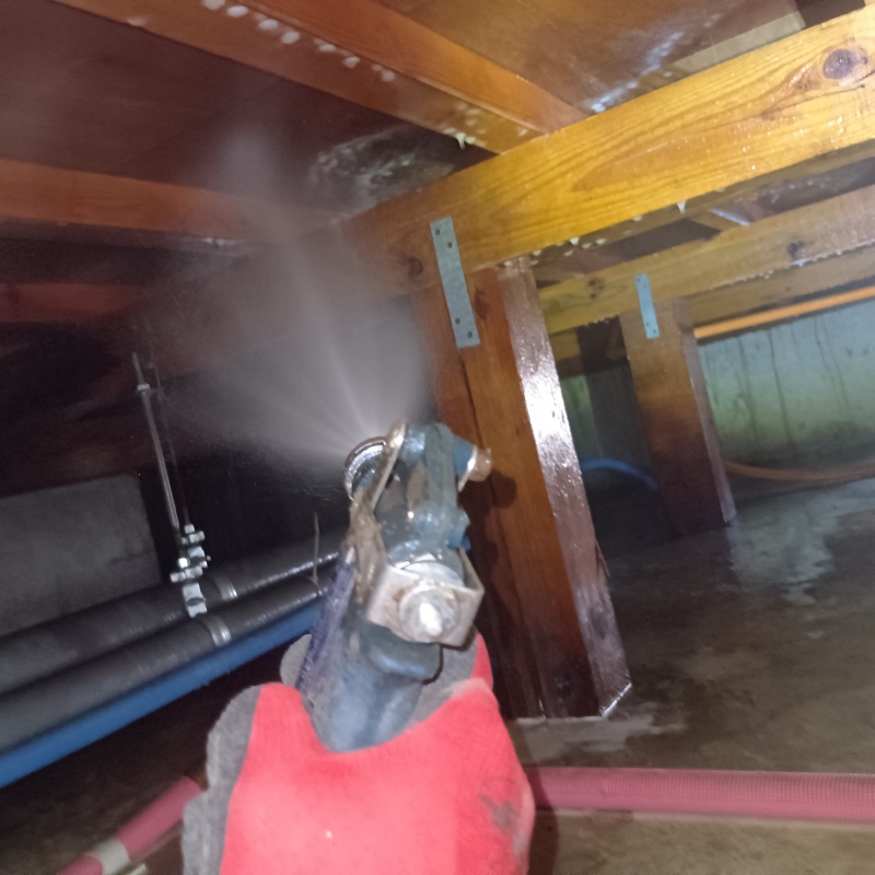 床下の木材にシロアリ駆除剤を吹きつけている様子