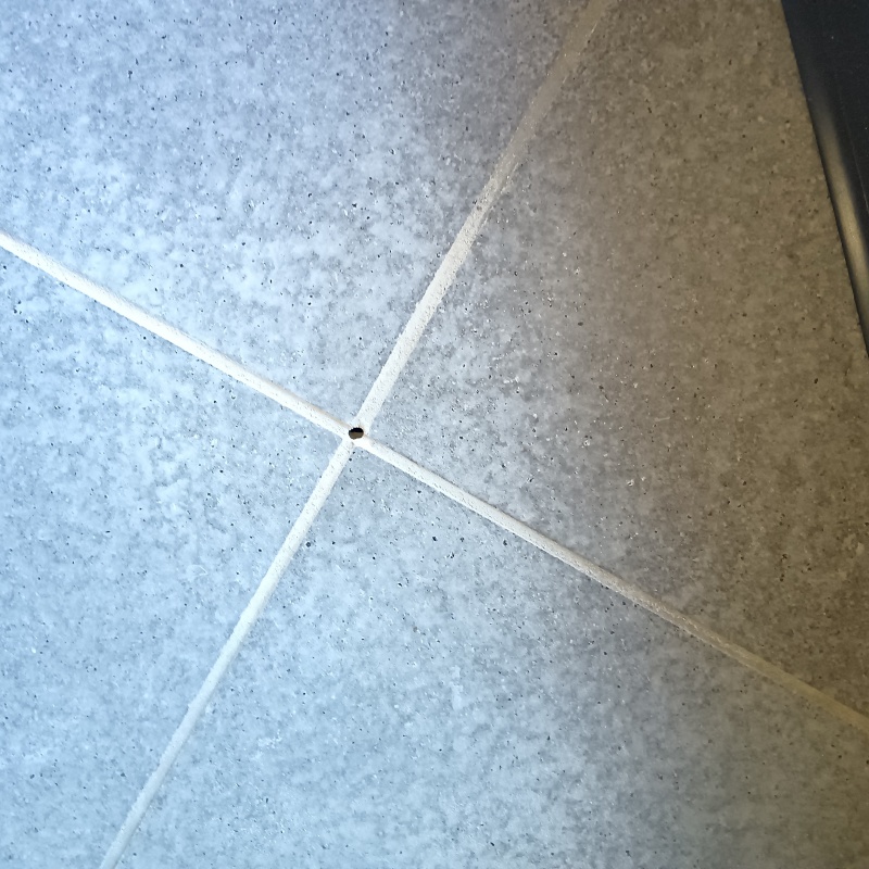 シロアリ駆除剤を注入する穴を開けている様子