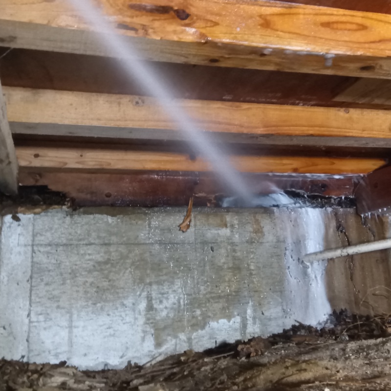 基礎と木材の接合部シロアリ駆除剤を散布