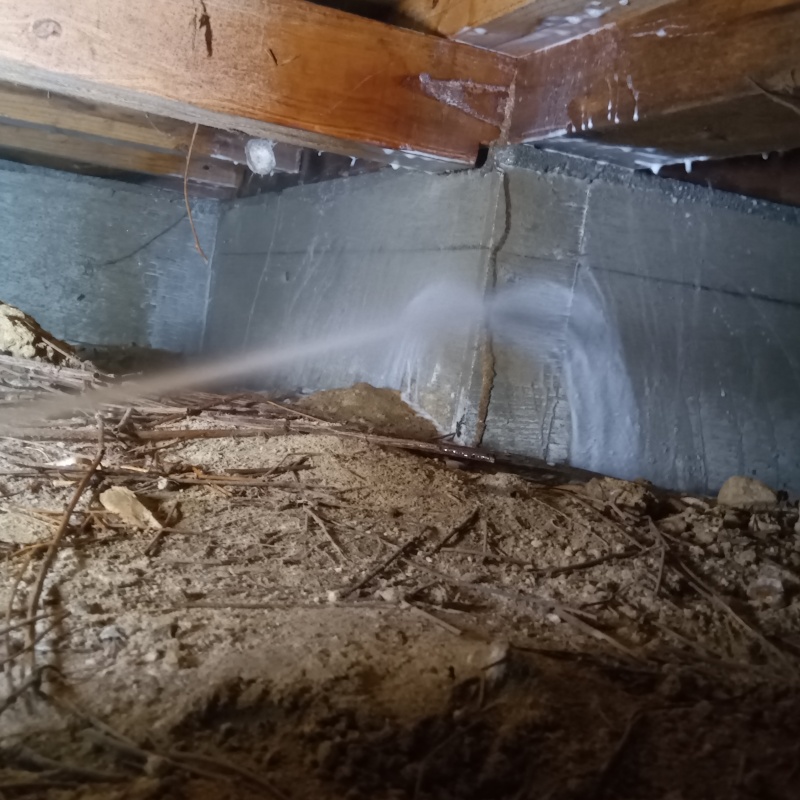 シロアリ駆除剤をまんべんなく散布