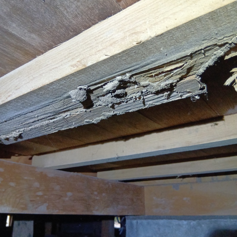築年数38年のシロアリ駆除の施工事例（茨城県神栖市下幡木）