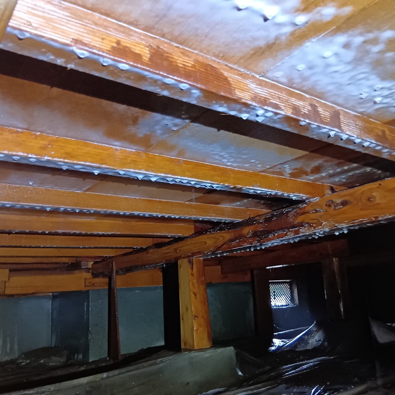 シロアリ駆除剤を散布したあとの様子