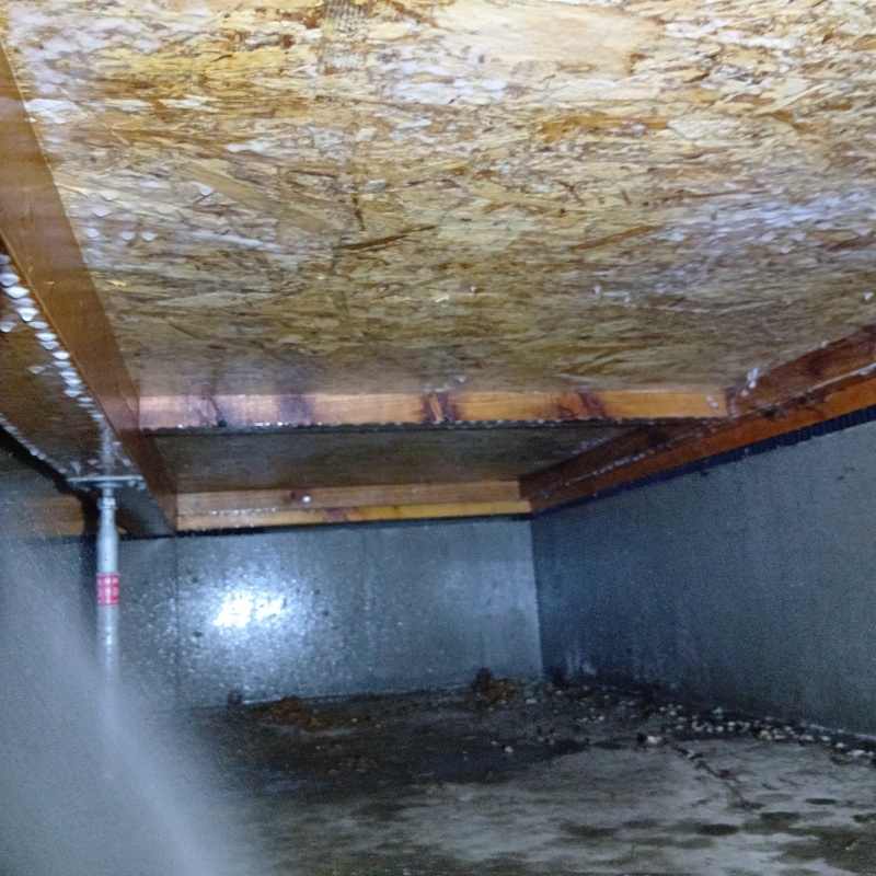 床下の基礎にシロアリ駆除剤を散布