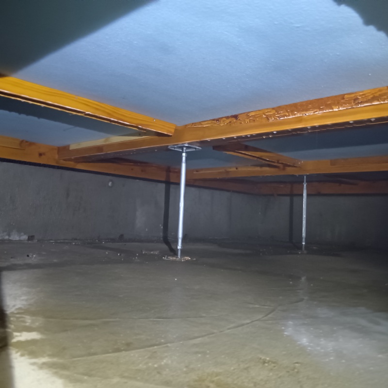 シロアリ駆除剤をまんべんなく散布