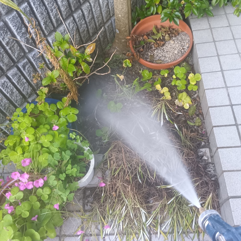 植栽にシロアリ駆除剤を散布