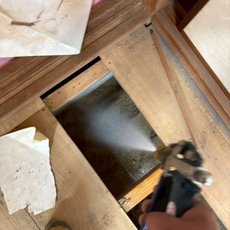 床材をはがして床下に防蟻剤を散布