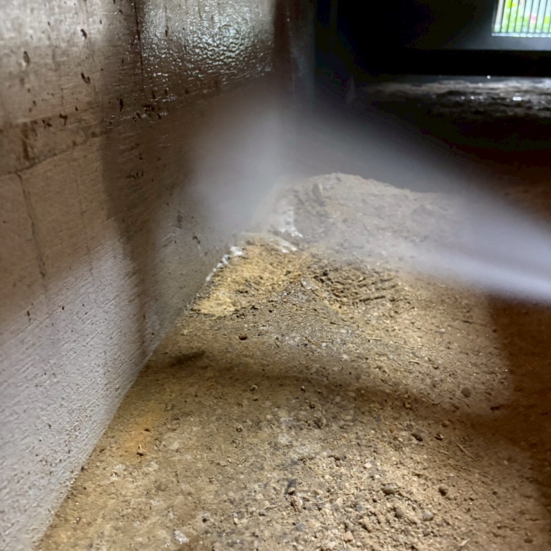 基礎コンクリートに防蟻剤を散布している様子