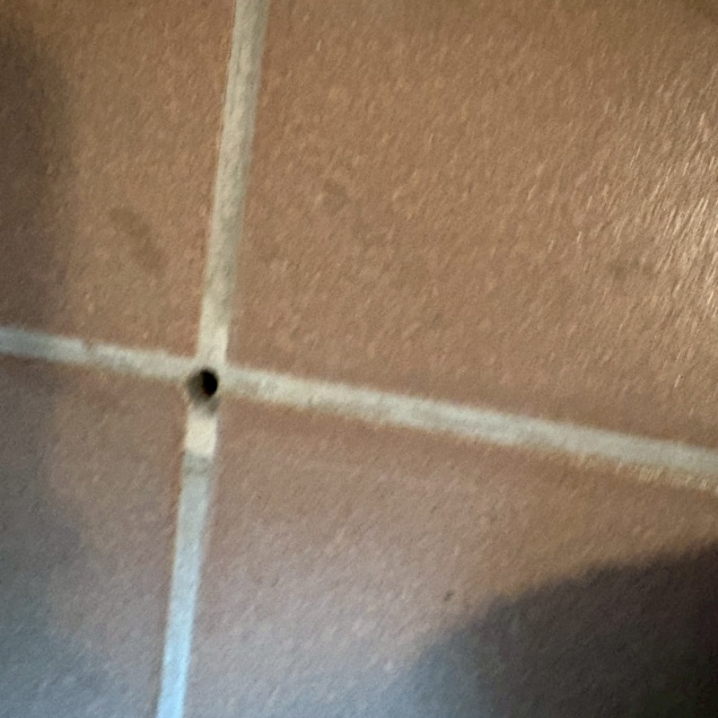 目地に穴を開けた様子