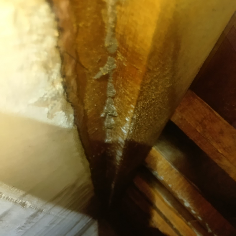 築年数40年のシロアリ駆除の施工事例（千葉県千葉市中央区新宿）