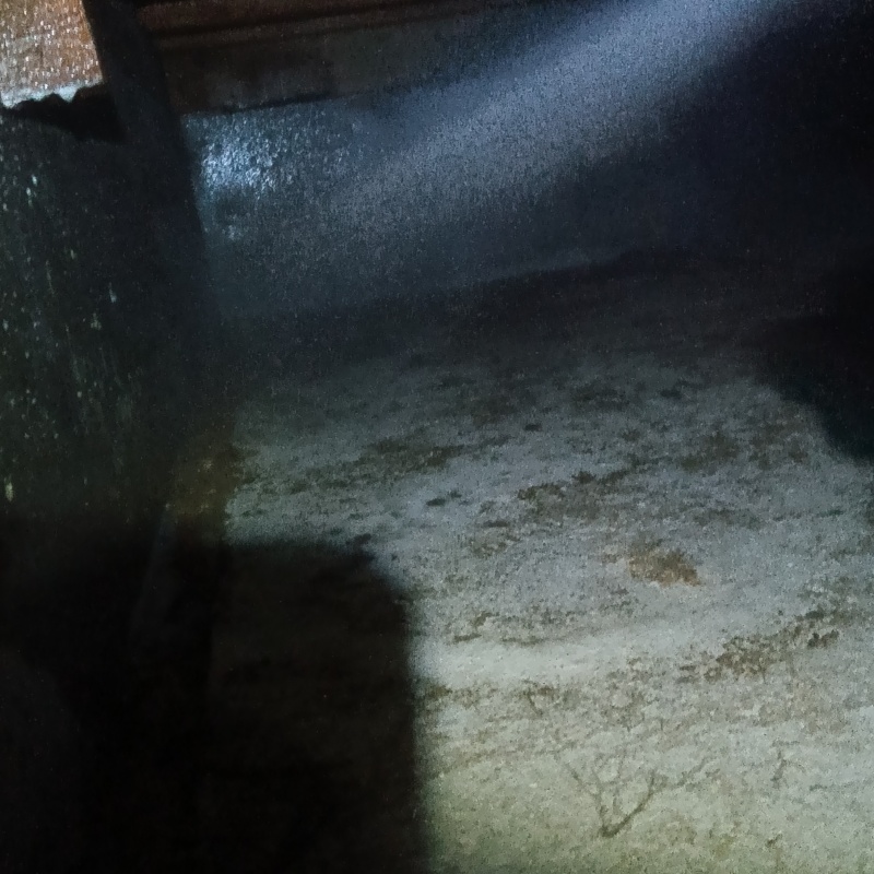 地面にシロアリ駆除剤を吹きつけている様子