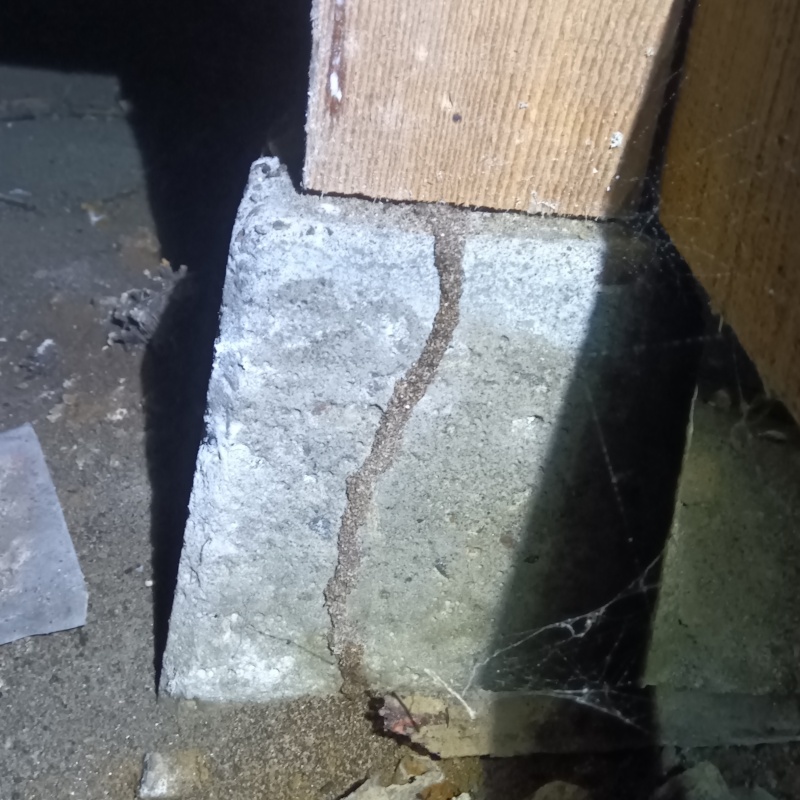 築年数40年のシロアリ駆除の施工事例（新潟県三条市塚野目）