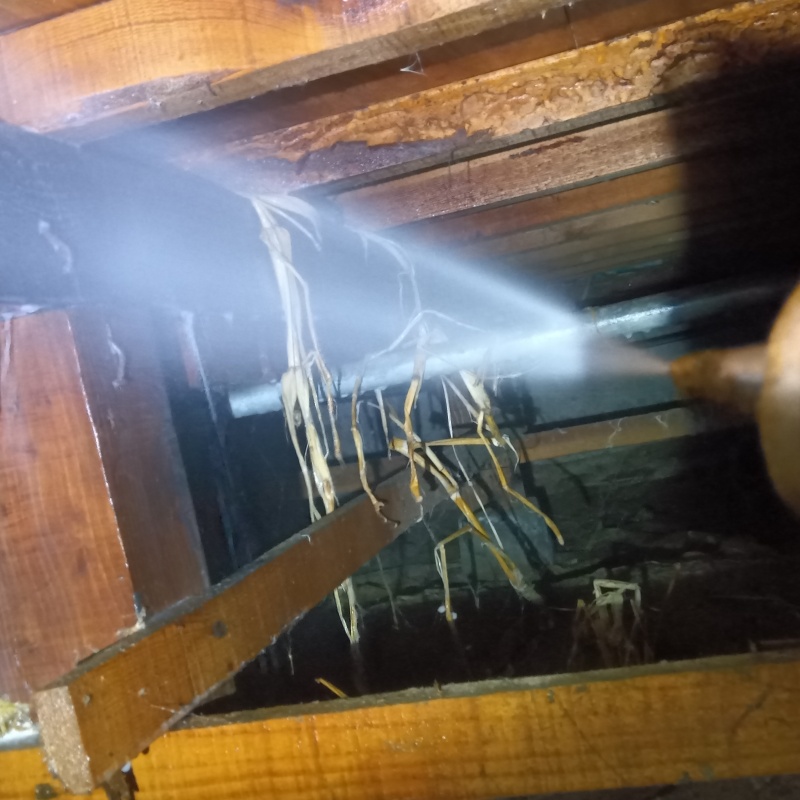 床下の木材にシロアリ駆除剤を散布