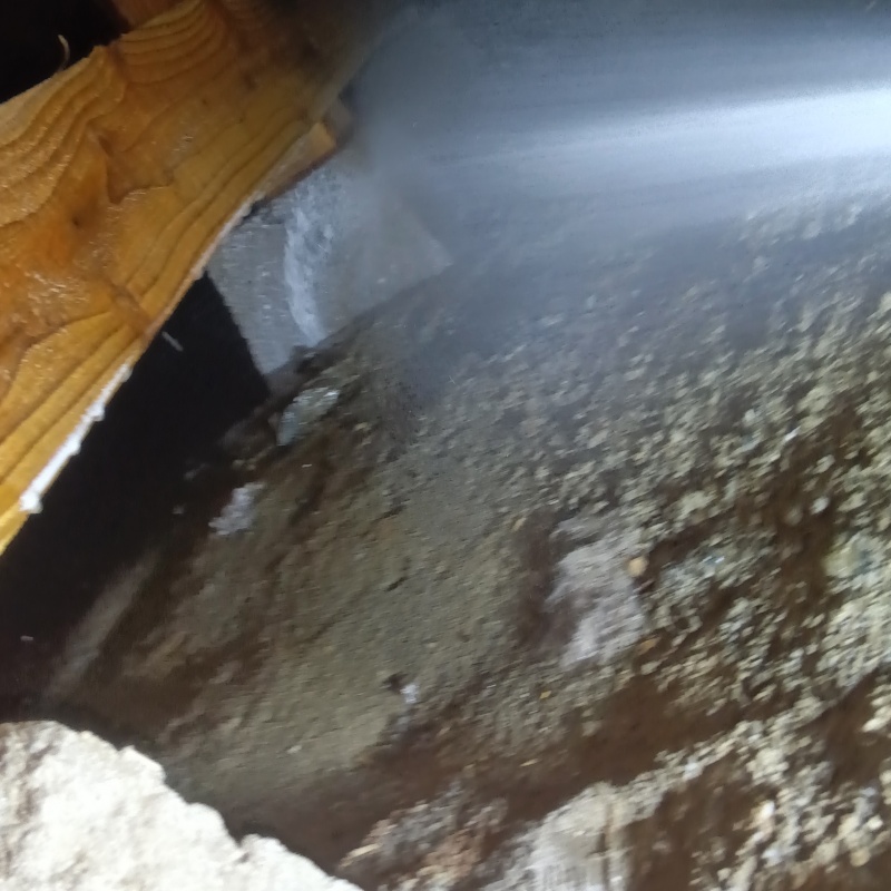 土台にシロアリ駆除剤を吹きつけている様子