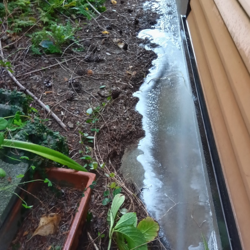 建物外周にシロアリ駆除剤を散布