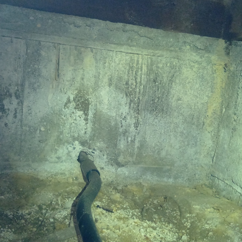 シロアリ駆除剤を散布する前の様子