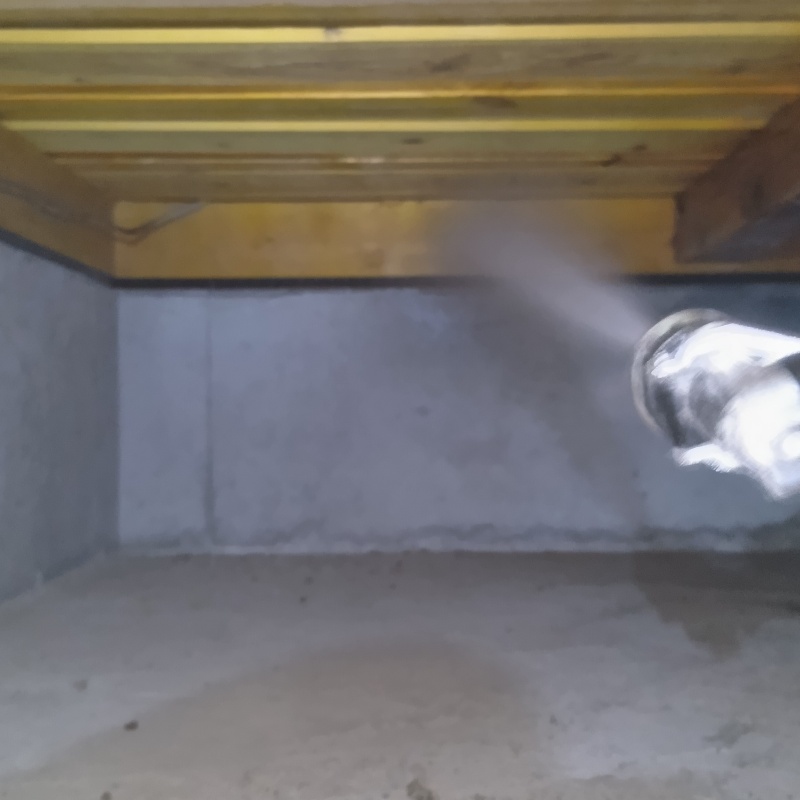 木材に防蟻剤を吹きつけている様子