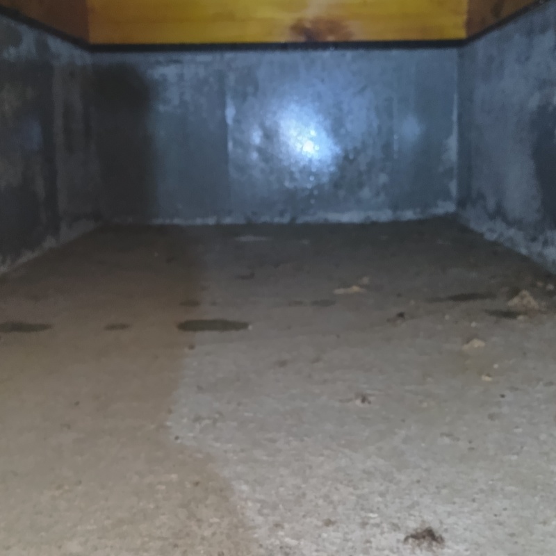 まんべんなく防蟻剤を散布