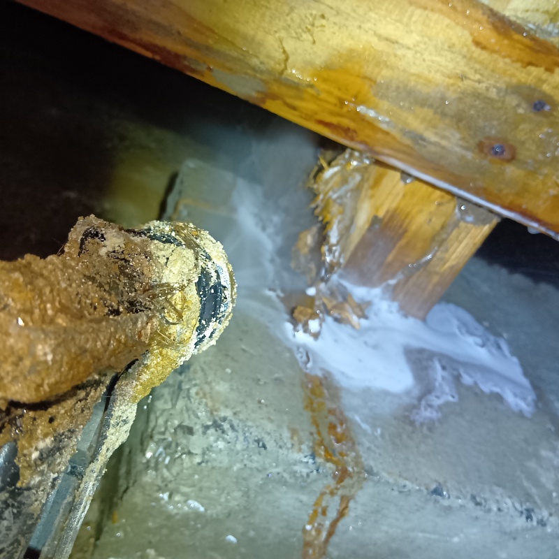 築年数40年のシロアリ駆除の施工事例（福井県敦賀市藤ケ丘町）