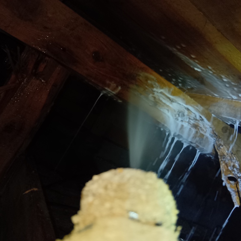 床下の木材にシロアリ駆除剤を散布