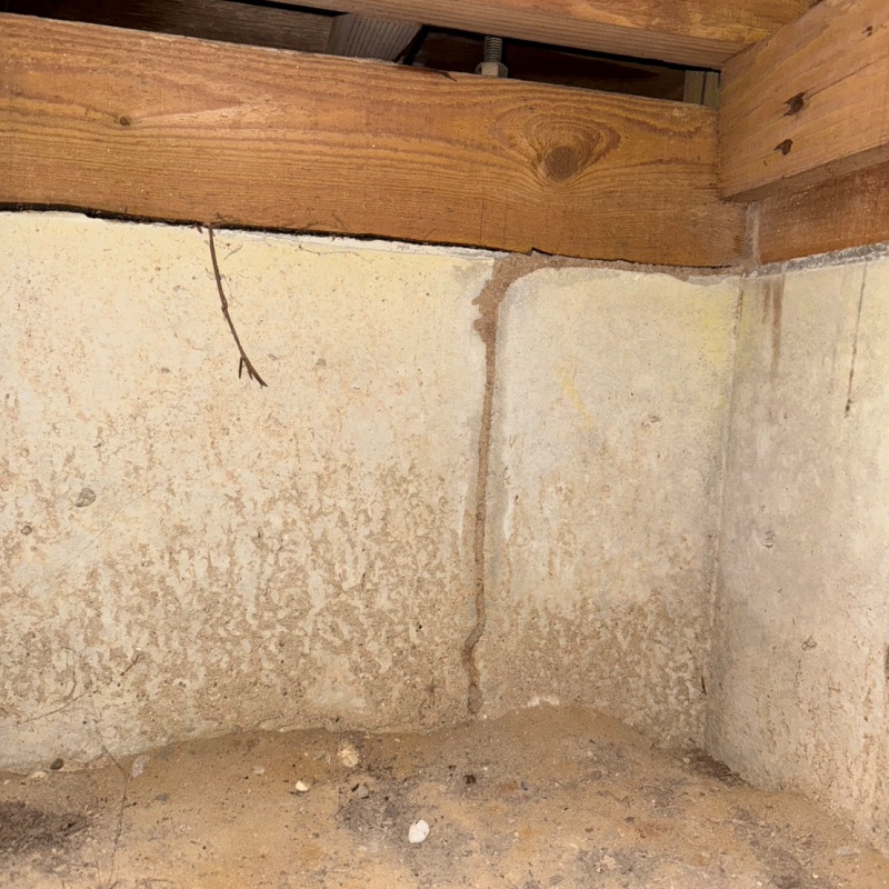 築年数38年のシロアリ駆除の施工事例（愛知県豊橋市芦原町字葦原）