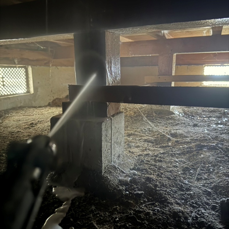 床下木材にシロアリ駆除剤を散布している様子