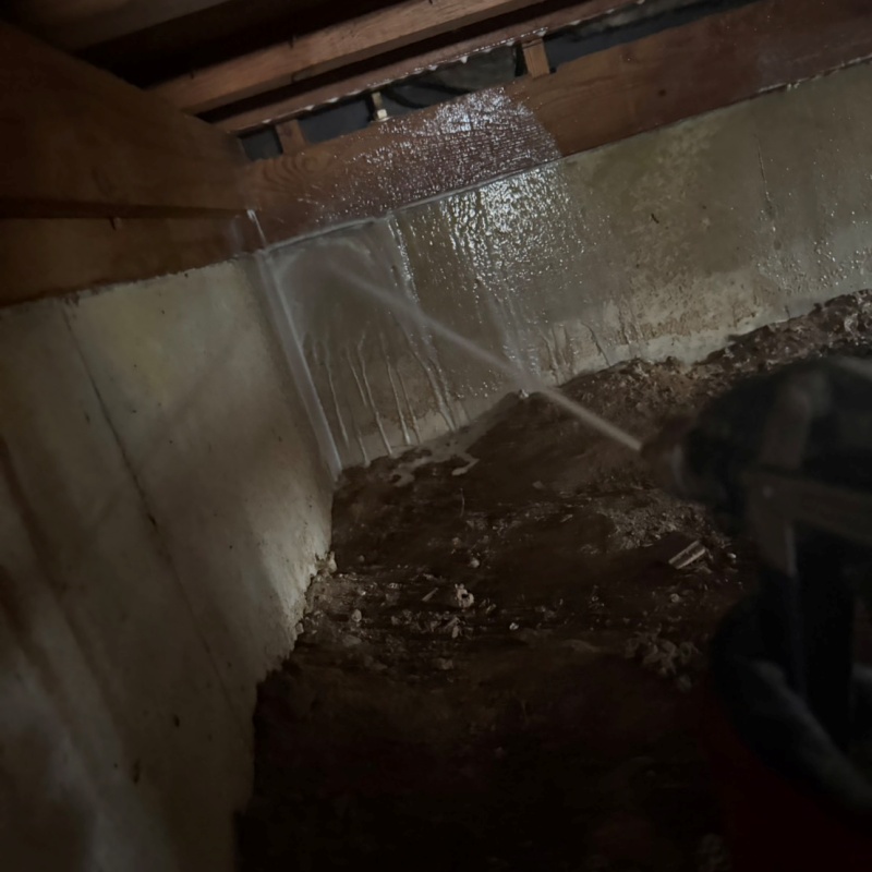 基礎コンクリートに駆除剤を散布