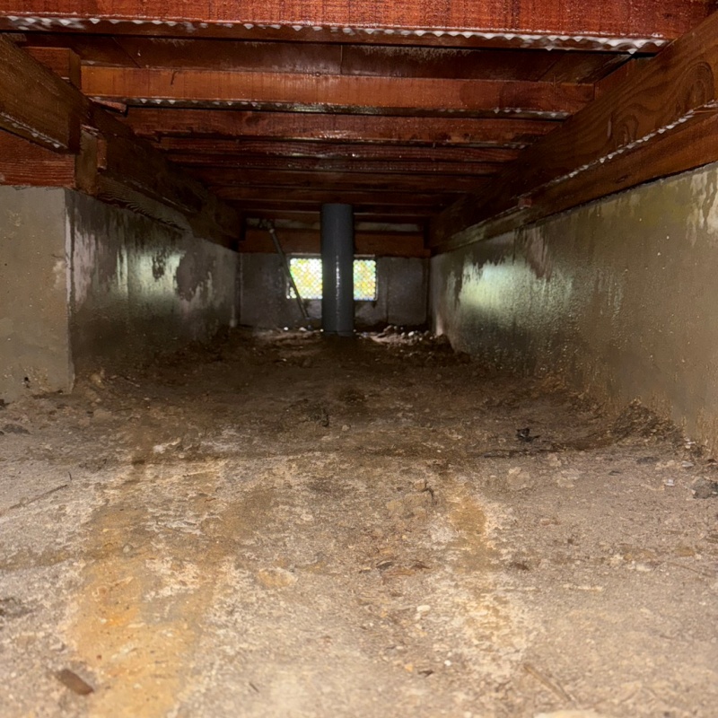 シロアリ駆除剤を散布したあとの床下の様子