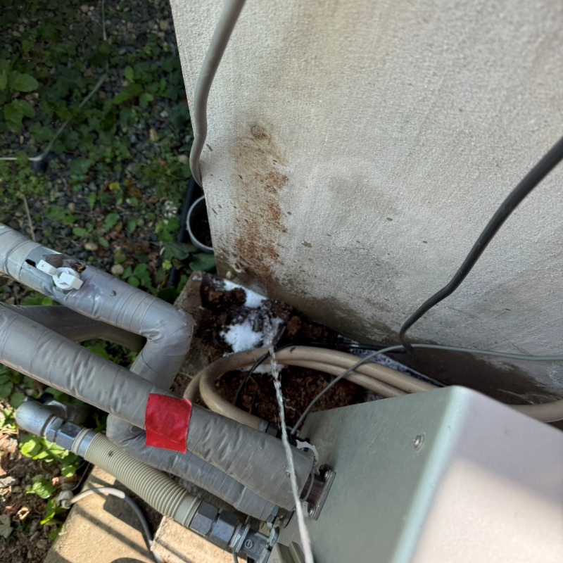 建物外周にシロアリ駆除剤を散布