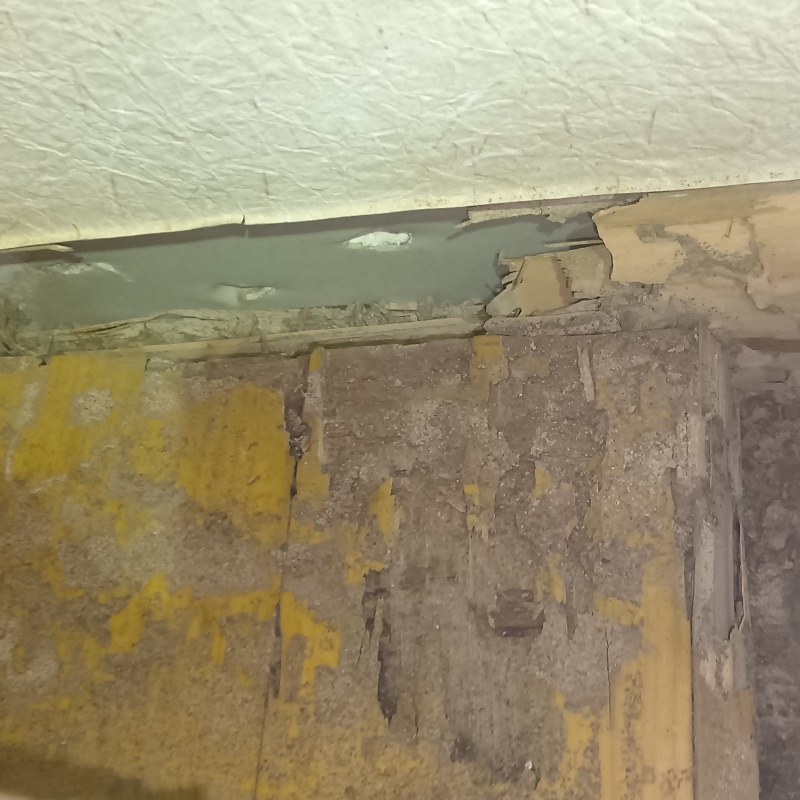 築年数30年のシロアリ駆除の施工事例（大阪府八尾市南木の本）