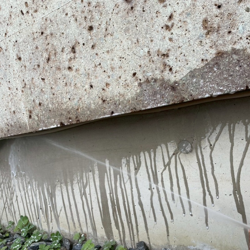 建物外壁にシロアリ駆除剤を散布