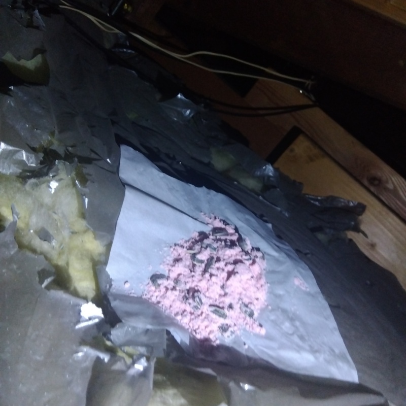 ネズミ駆除の施工事例（埼玉県狭山市）