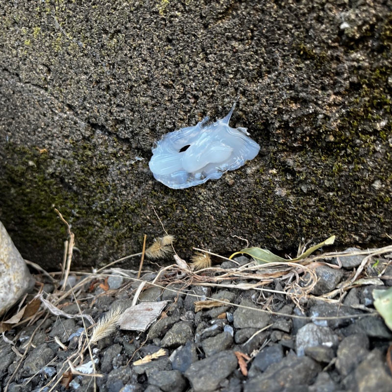 外壁の穴を封鎖