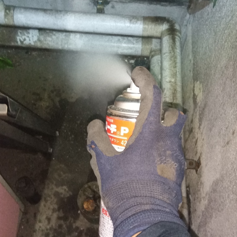 殺虫剤をスプレー