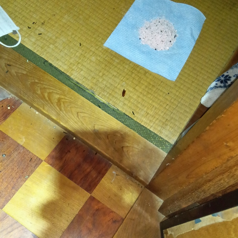 和室に殺鼠剤を設置