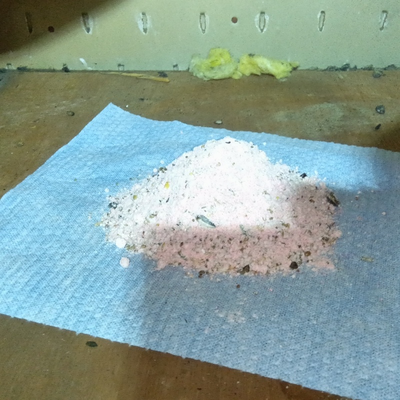 屋根裏に殺鼠剤を設置