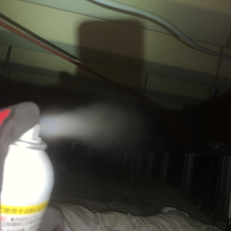 天井裏に忌避剤をスプレー