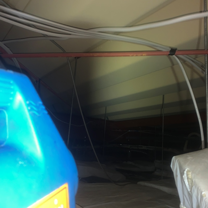 噴霧器で除菌・消臭剤を散布