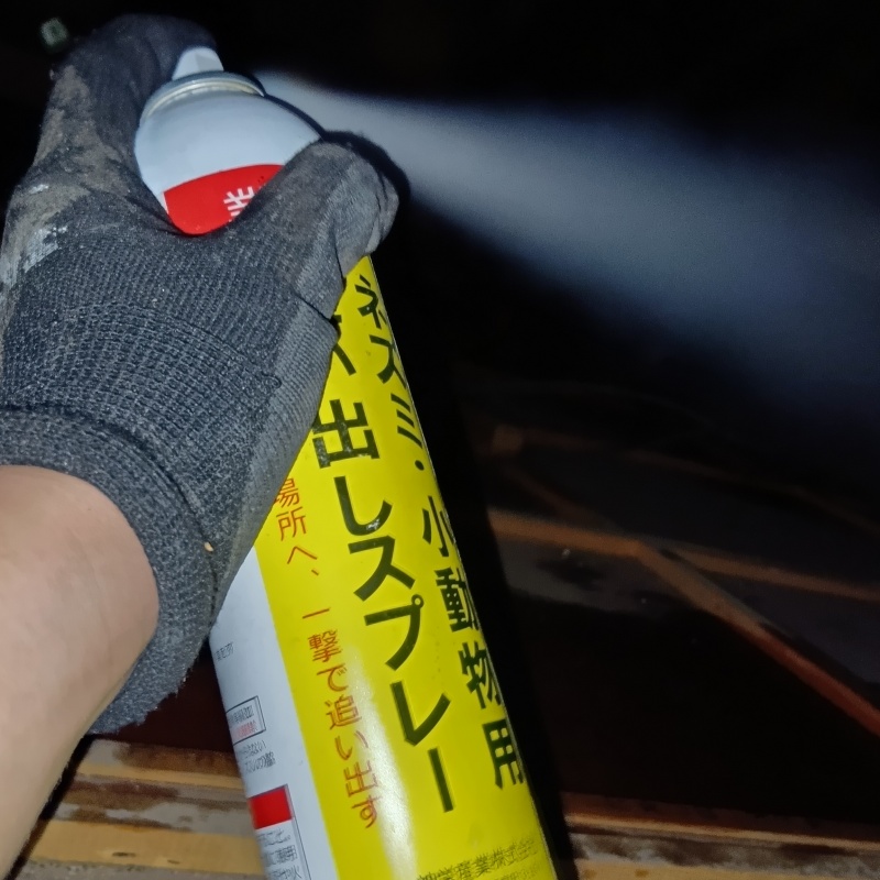 ネズミ駆除の施工事例（鹿児島県鹿児島市希望ヶ丘町）