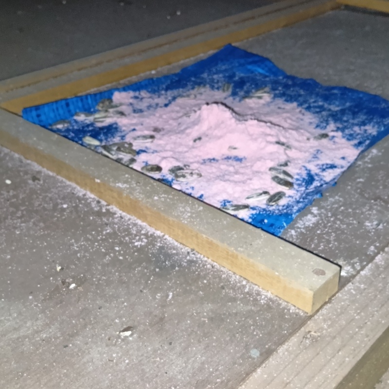 天井裏に殺鼠剤を設置