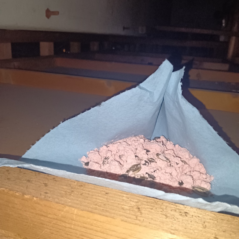 天井裏に殺鼠剤を設置