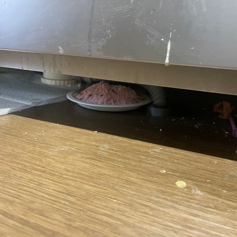 ネズミ駆除の施工事例（岡山県小田郡矢掛町）