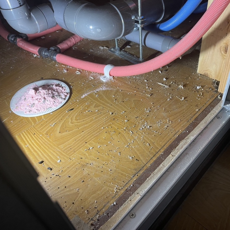 天井裏に殺鼠剤を設置