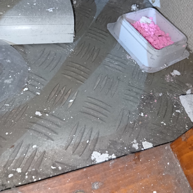 ネズミ駆除の施工事例（兵庫県神戸市中央区）