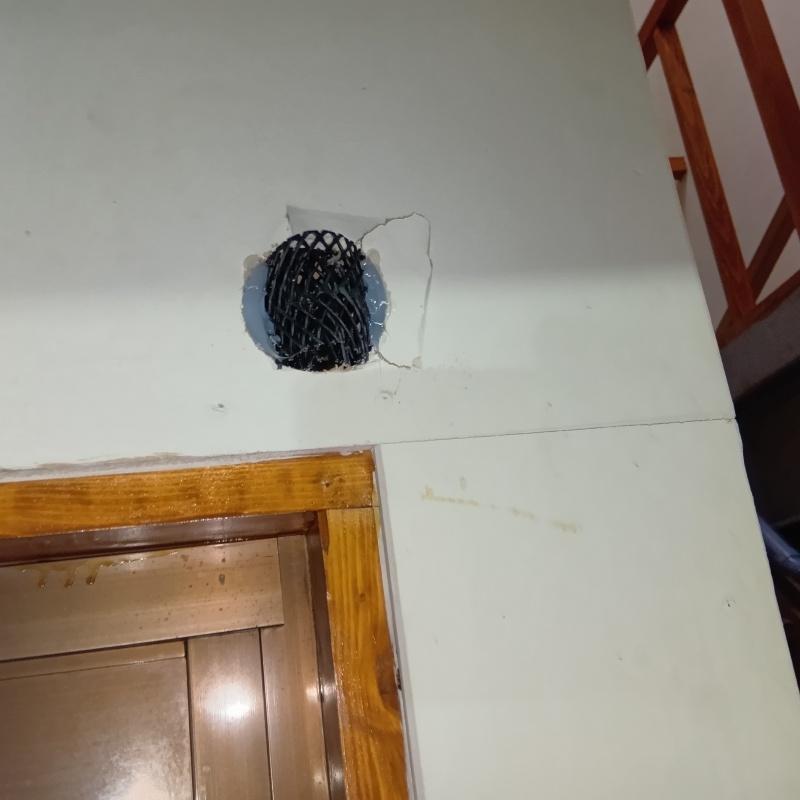 壁の穴を金網で封鎖